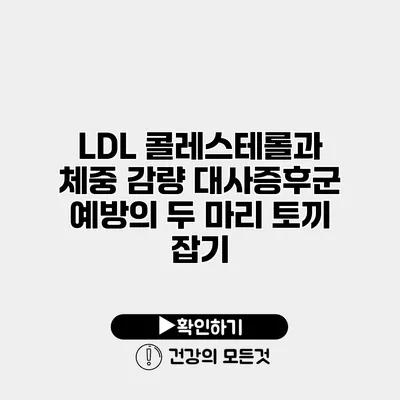 LDL 콜레스테롤과 체중 감량 대사증후군 예방의 두 마리 토끼 잡기