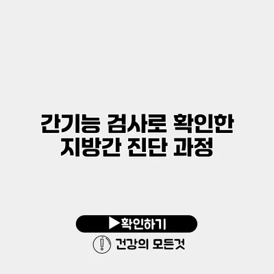 간기능 검사로 확인한 지방간 진단 과정