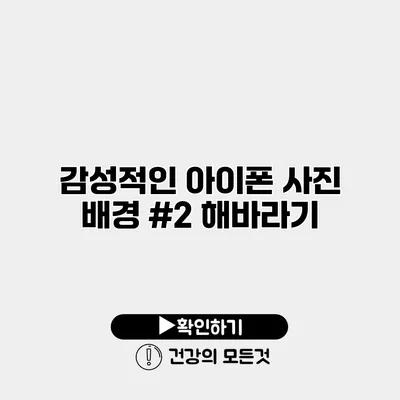 감성적인 아이폰 사진 배경 #2 해바라기