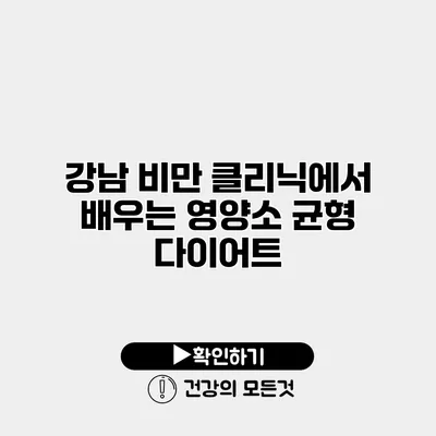 강남 비만 클리닉에서 배우는 영양소 균형 다이어트