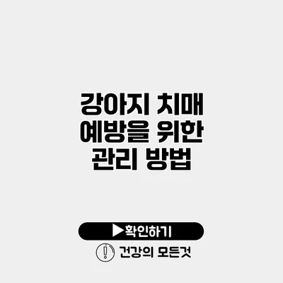 강아지 치매 예방을 위한 관리 방법