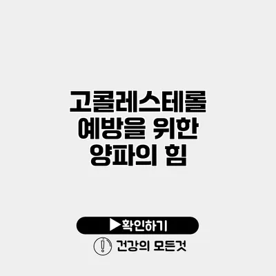 고콜레스테롤 예방을 위한 양파의 힘