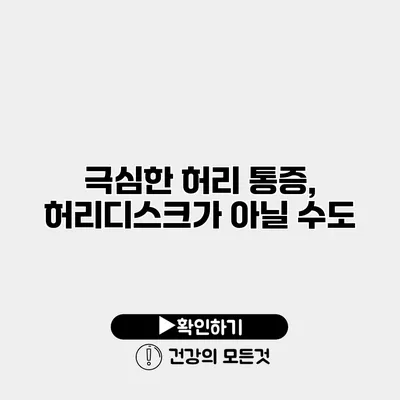 극심한 허리 통증, 허리디스크가 아닐 수도?