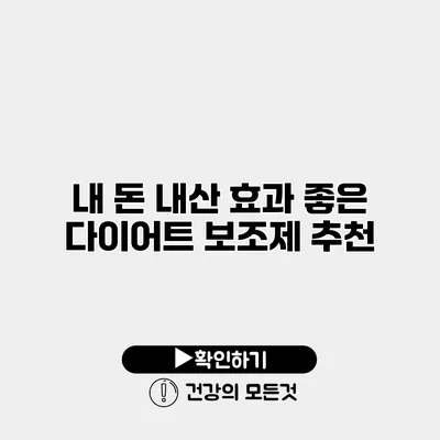 내 돈 내산 효과 좋은 다이어트 보조제 추천