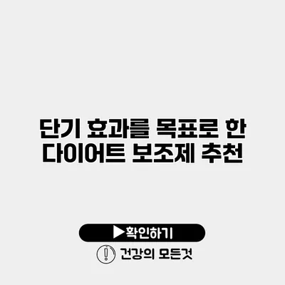 단기 효과를 목표로 한 다이어트 보조제 추천