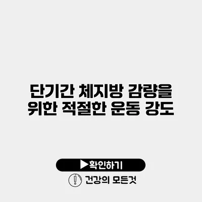 단기간 체지방 감량을 위한 적절한 운동 강도