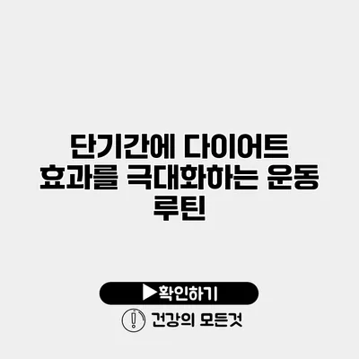 단기간에 다이어트 효과를 극대화하는 운동 루틴