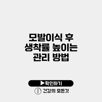 모발이식 후 생착률 높이는 관리 방법
