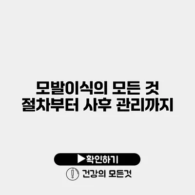 모발이식의 모든 것 절차부터 사후 관리까지