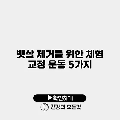 뱃살 제거를 위한 체형 교정 운동 5가지