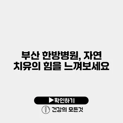 부산 한방병원, 자연 치유의 힘을 느껴보세요