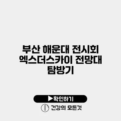 부산 해운대 전시회 엑스더스카이 전망대 탐방기