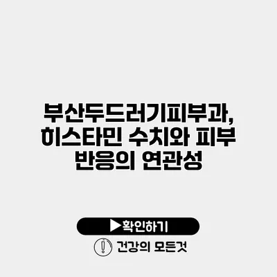 부산두드러기피부과, 히스타민 수치와 피부 반응의 연관성