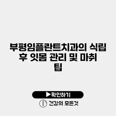 부평임플란트치과의 식립 후 잇몸 관리 및 마취 팁