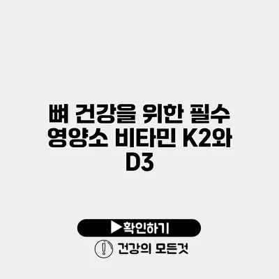 뼈 건강을 위한 필수 영양소 비타민 K2와 D3