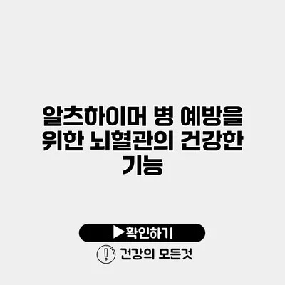 알츠하이머 병 예방을 위한 뇌혈관의 건강한 기능