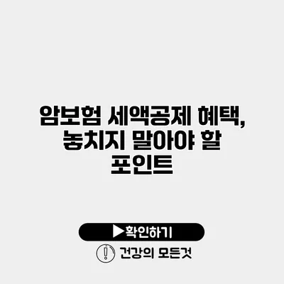 암보험 세액공제 혜택, 놓치지 말아야 할 포인트