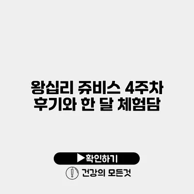 왕십리 쥬비스 4주차 후기와 한 달 체험담