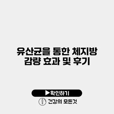 유산균을 통한 체지방 감량 효과 및 후기