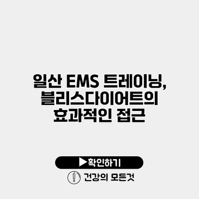 일산 EMS 트레이닝, 블리스다이어트의 효과적인 접근