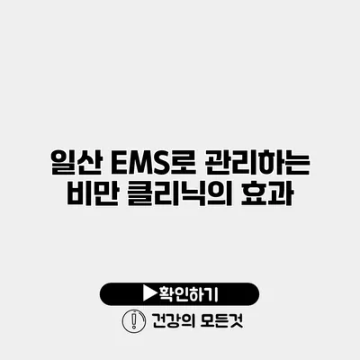 일산 EMS로 관리하는 비만 클리닉의 효과