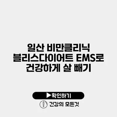 일산 비만클리닉 블리스다이어트 EMS로 건강하게 살 빼기