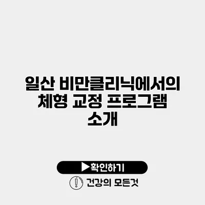 일산 비만클리닉에서의 체형 교정 프로그램 소개