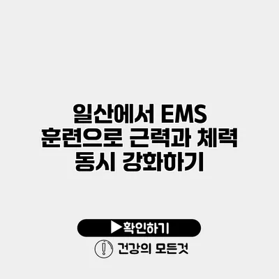 일산에서 EMS 훈련으로 근력과 체력 동시 강화하기