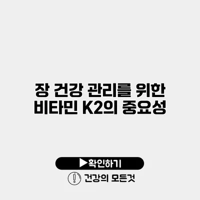 장 건강 관리를 위한 비타민 K2의 중요성
