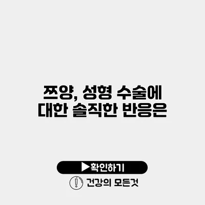 쯔양, 성형 수술에 대한 솔직한 반응은?
