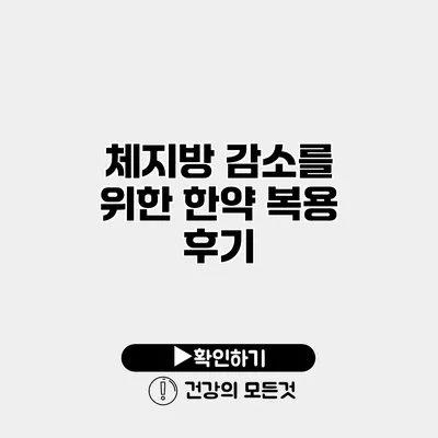체지방 감소를 위한 한약 복용 후기