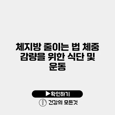 체지방 줄이는 법 체중 감량을 위한 식단 및 운동