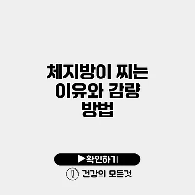 체지방이 찌는 이유와 감량 방법