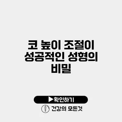 코 높이 조절이 성공적인 성형의 비밀