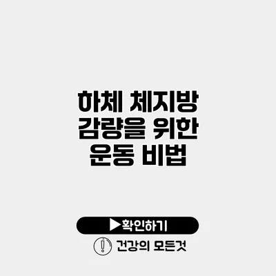 하체 체지방 감량을 위한 운동 비법