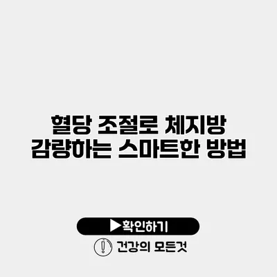 혈당 조절로 체지방 감량하는 스마트한 방법