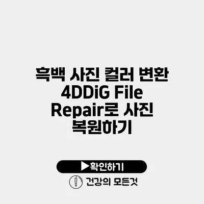 흑백 사진 컬러 변환 4DDiG File Repair로 사진 복원하기