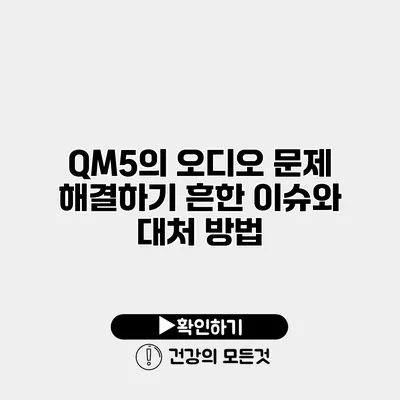 QM5의 오디오 문제 해결하기 흔한 이슈와 대처 방법