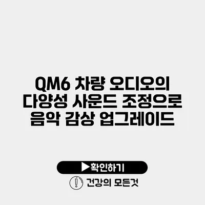 QM6 차량 오디오의 다양성 사운드 조정으로 음악 감상 업그레이드
