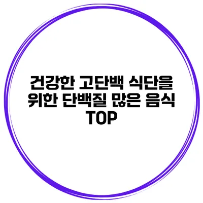 건강한 고단백 식단을 위한 단백질 많은 음식 TOP
