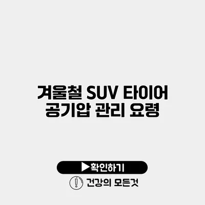 겨울철 SUV 타이어 공기압 관리 요령