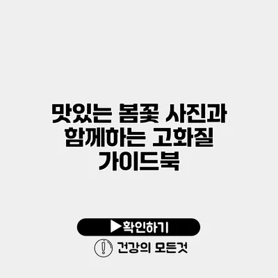 맛있는 봄꽃 사진과 함께하는 고화질 가이드북