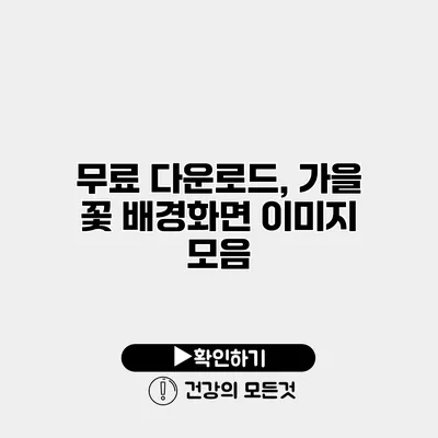 무료 다운로드, 가을 꽃 배경화면 이미지 모음
