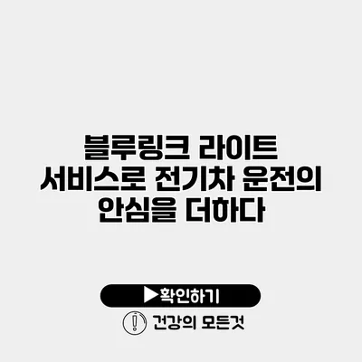 블루링크 라이트 서비스로 전기차 운전의 안심을 더하다
