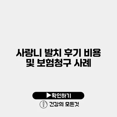사랑니 발치 후기 비용 및 보험청구 사례