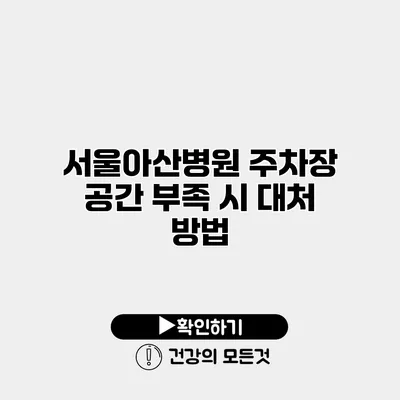 서울아산병원 주차장 공간 부족 시 대처 방법
