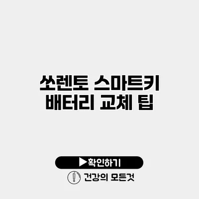 쏘렌토 스마트키 배터리 교체 팁