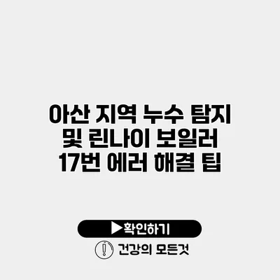 아산 지역 누수 탐지 및 린나이 보일러 17번 에러 해결 팁