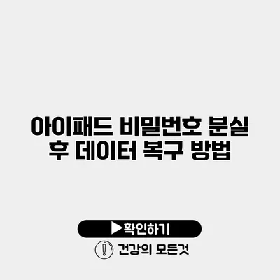 아이패드 비밀번호 분실 후 데이터 복구 방법