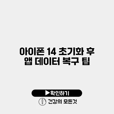 아이폰 14 초기화 후 앱 데이터 복구 팁